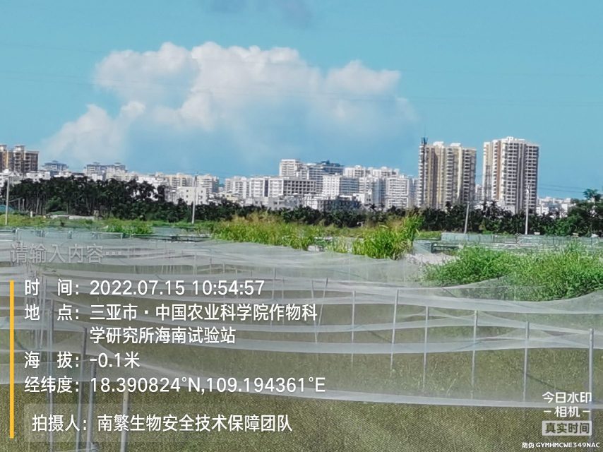 请输入内容…