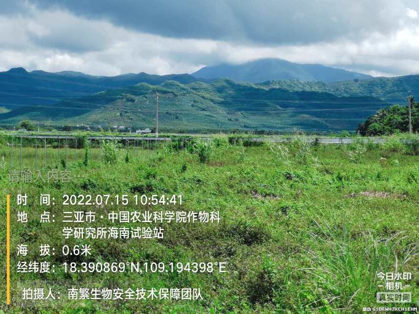 请输入内容…