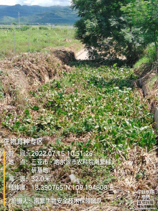 生物育种专区