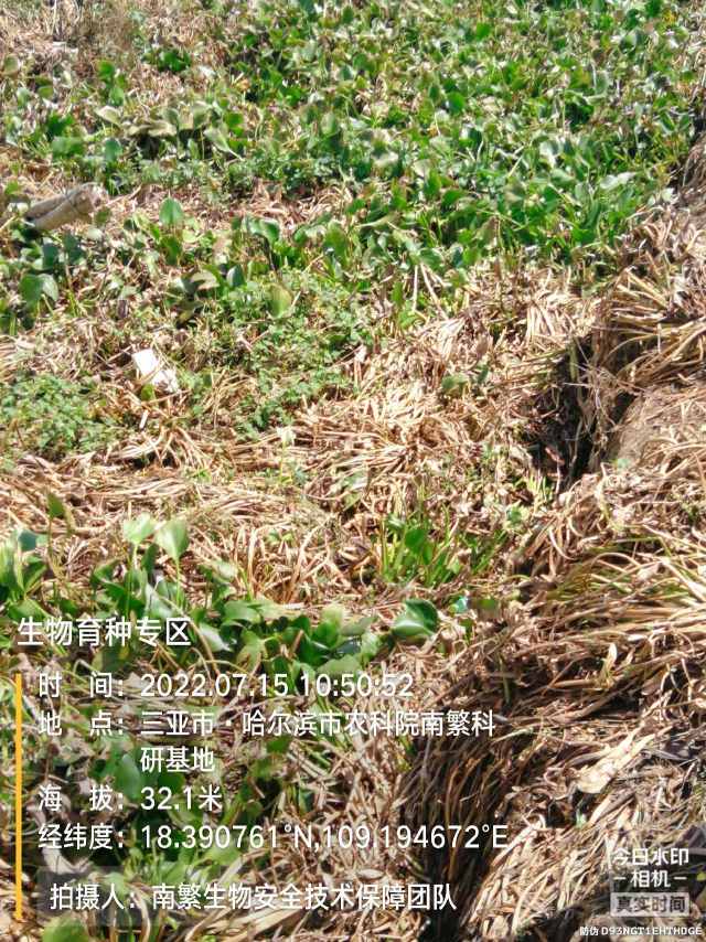 生物育种专区