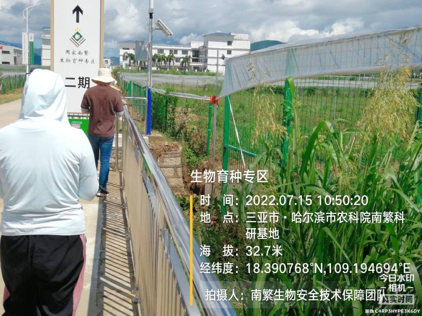 生物育种专区