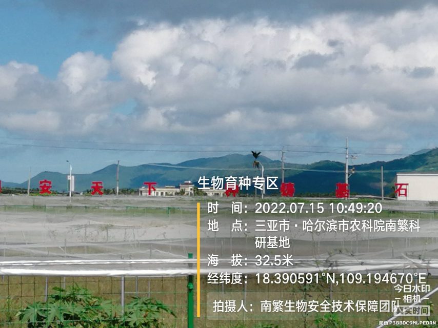 生物育种专区