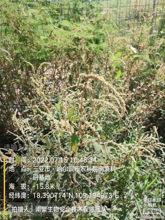 请输入内容…