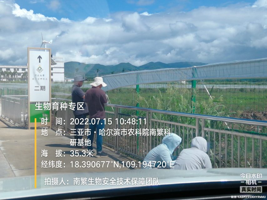 生物育种专区