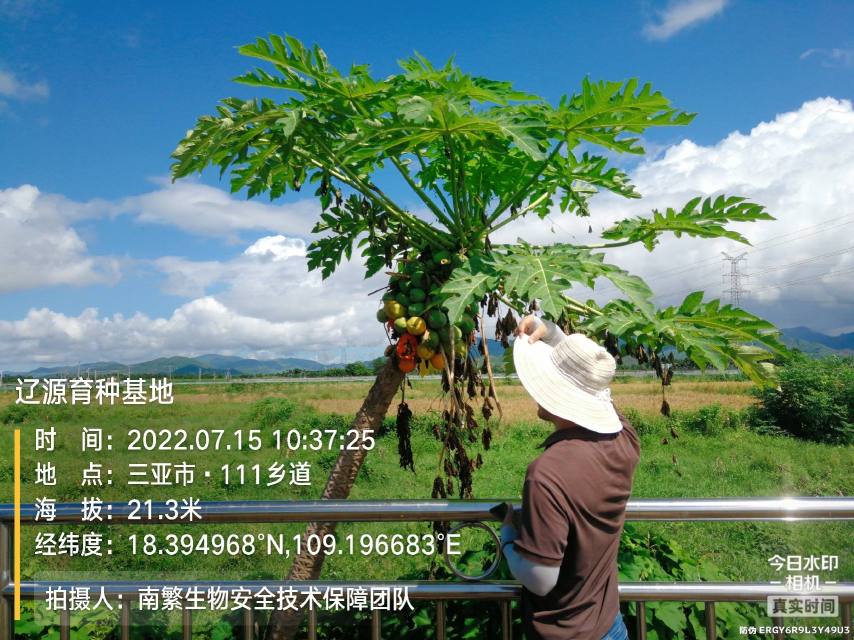 辽源育种基地