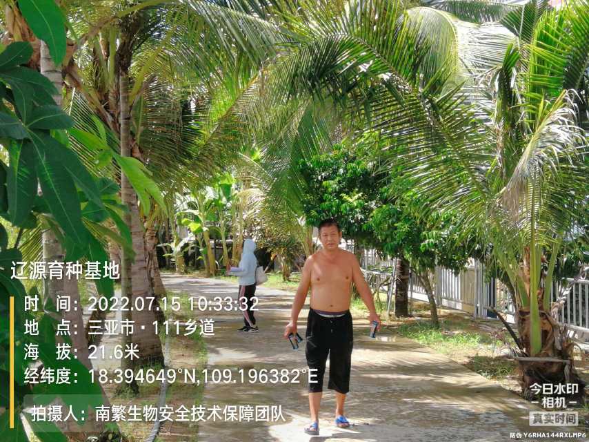 辽源育种基地