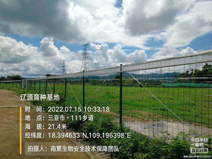 辽源育种基地