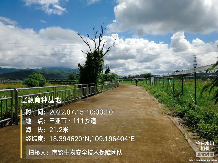 辽源育种基地