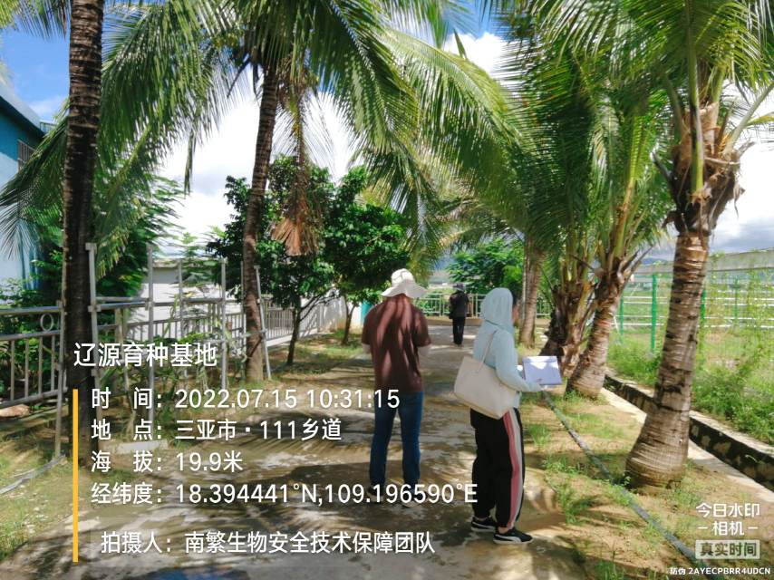 辽源育种基地