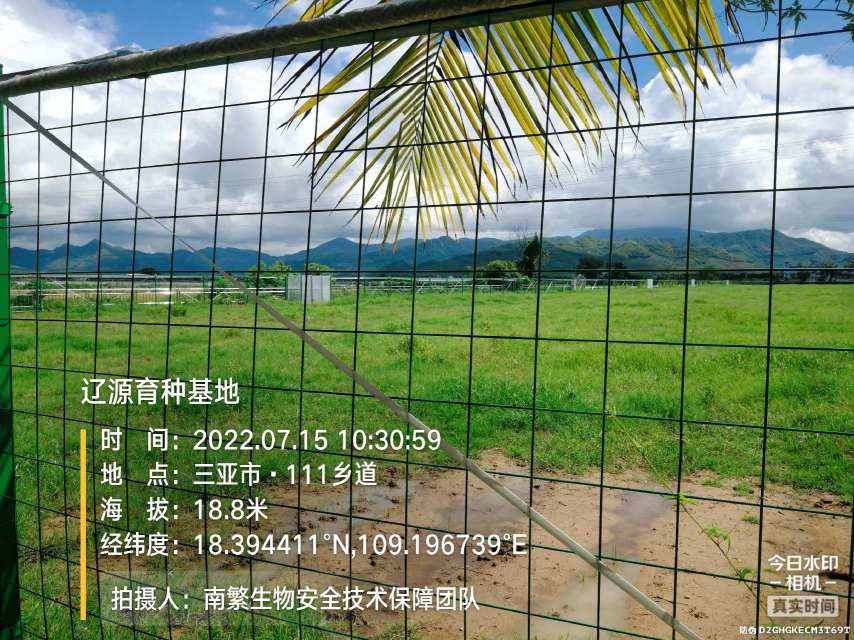 辽源育种基地