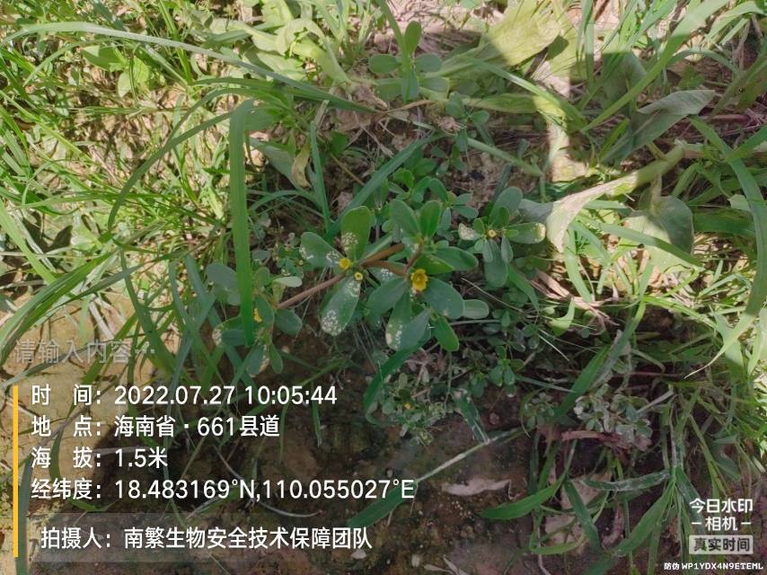请输入内容…