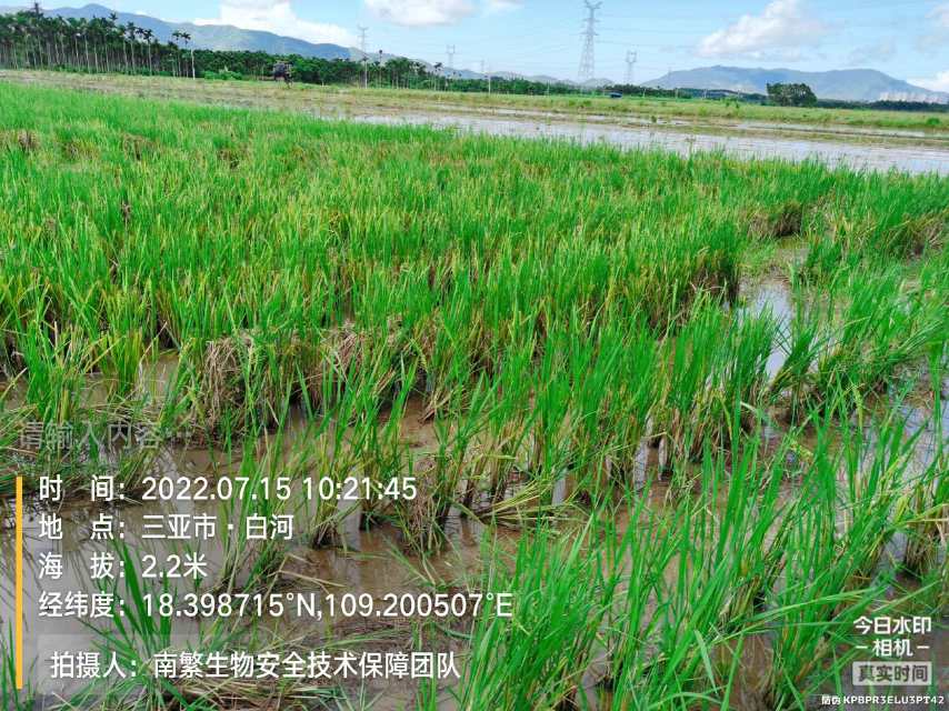 请输入内容…