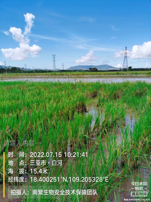 请输入内容…