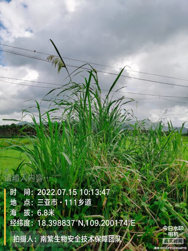 请输入内容…
