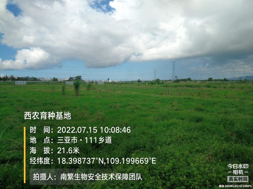 西农育种基地