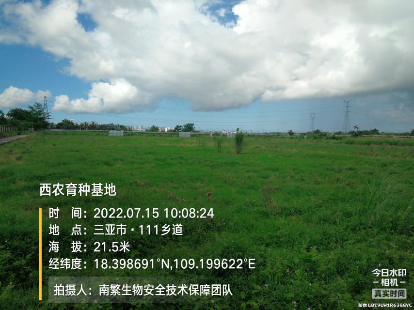 西农育种基地