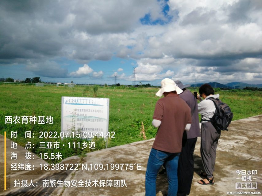 西农育种基地