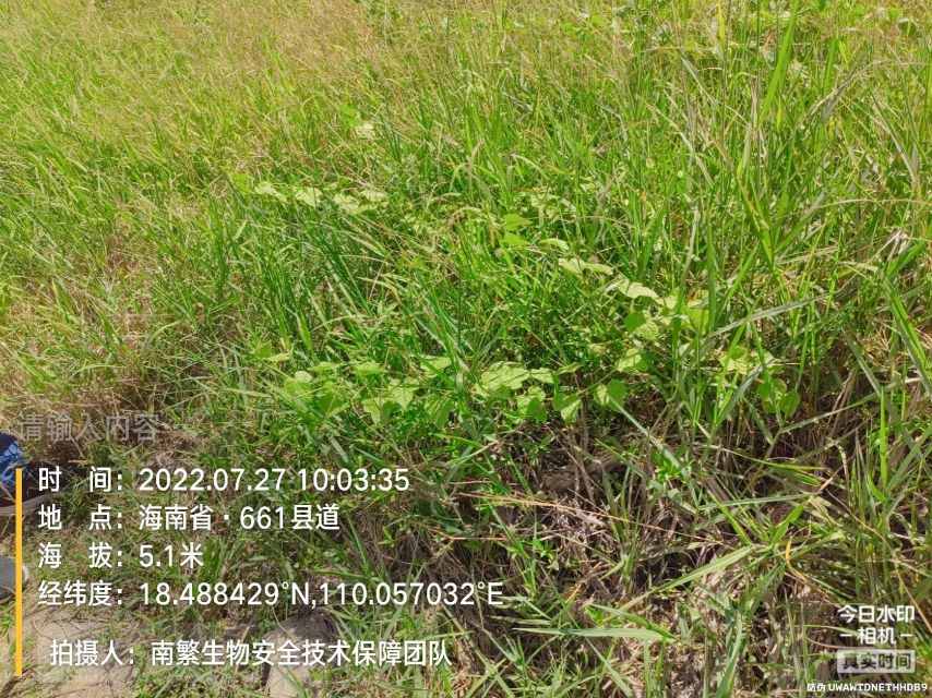请输入内容…