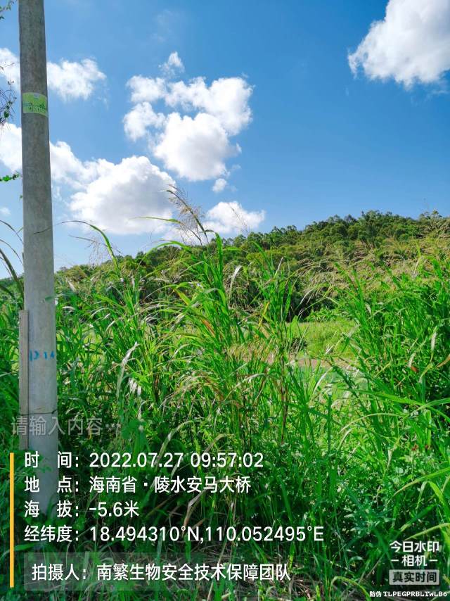 请输入内容…