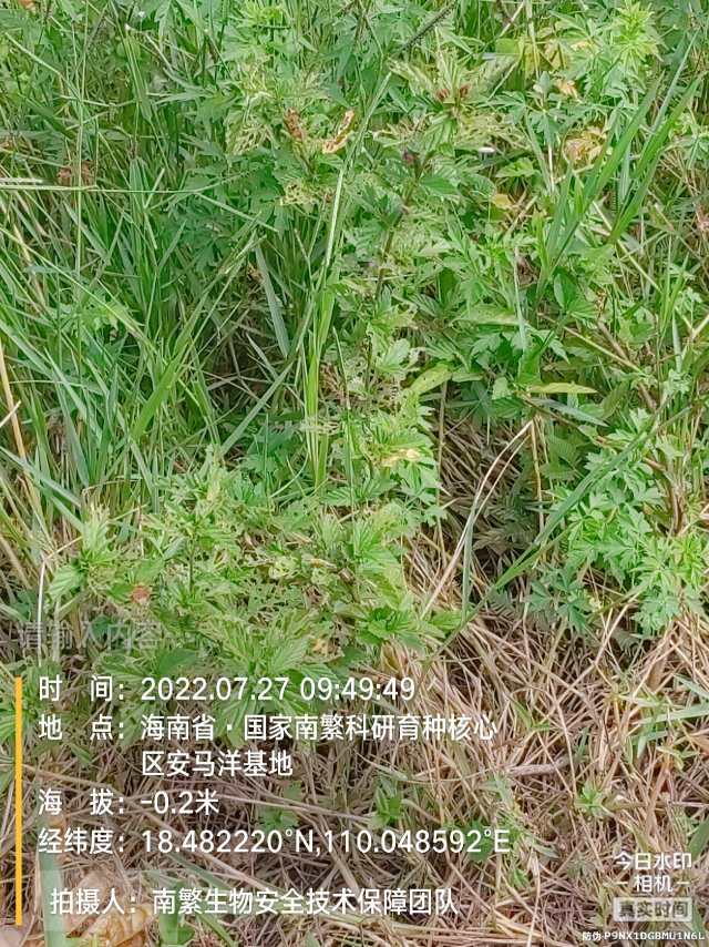 请输入内容…