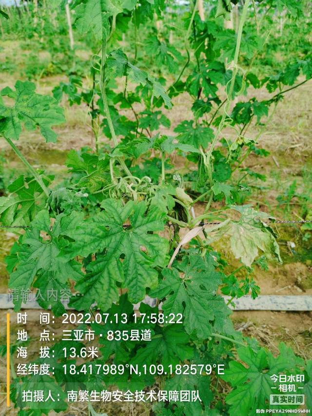 请输入内容…