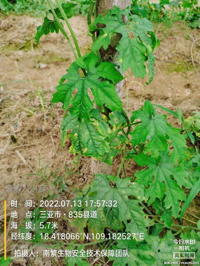 请输入内容…