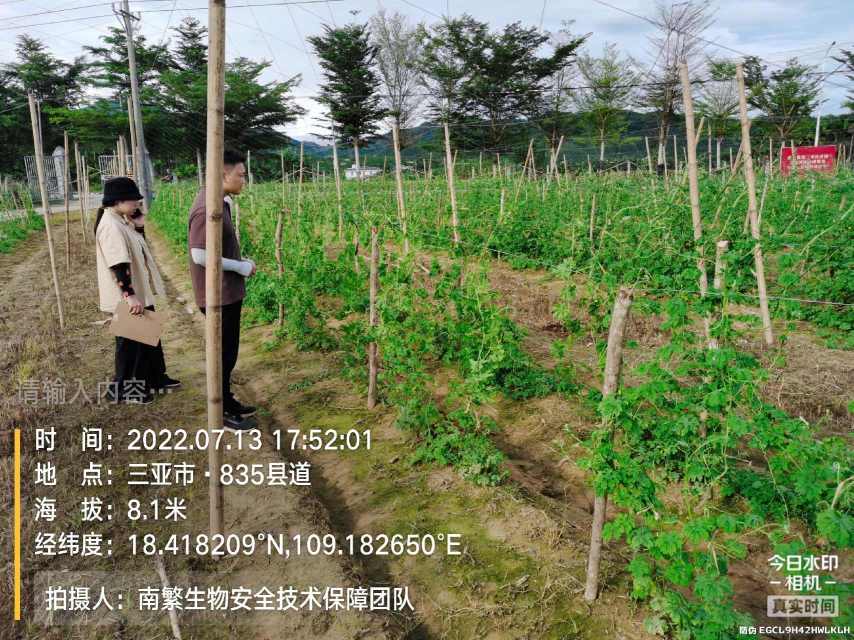 请输入内容…