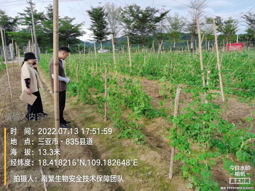 请输入内容…
