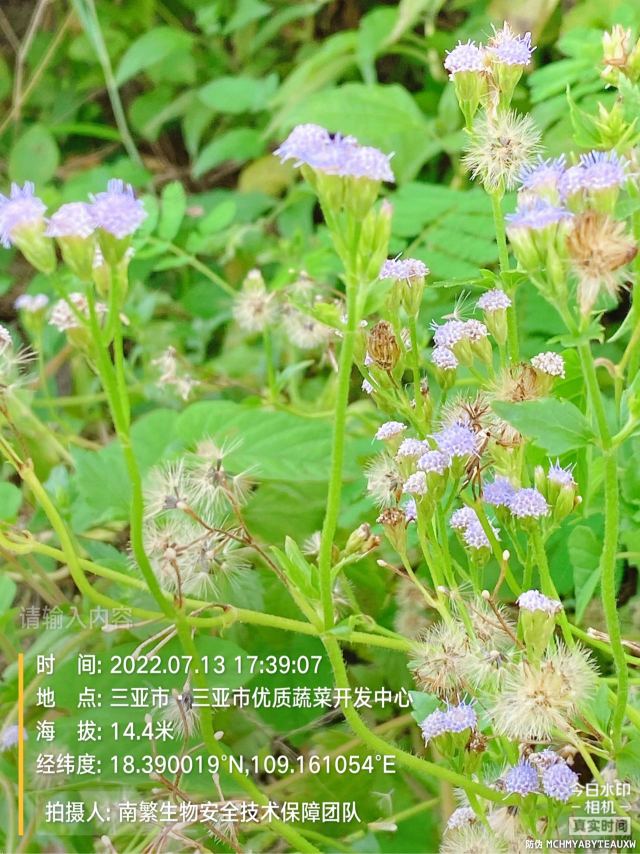 请输入内容…