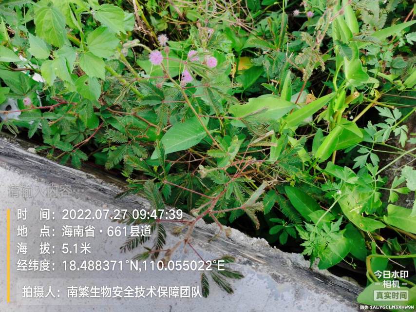 请输入内容…