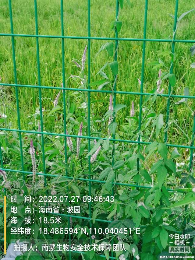 请输入内容…
