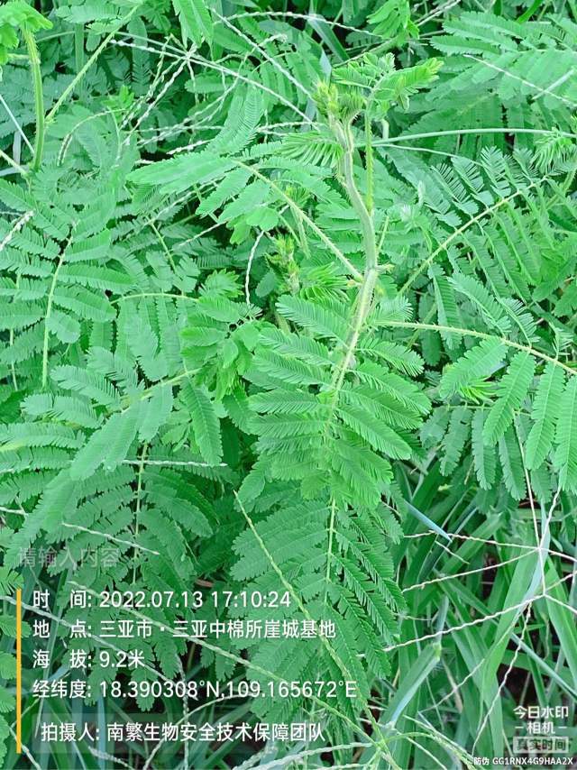 请输入内容…