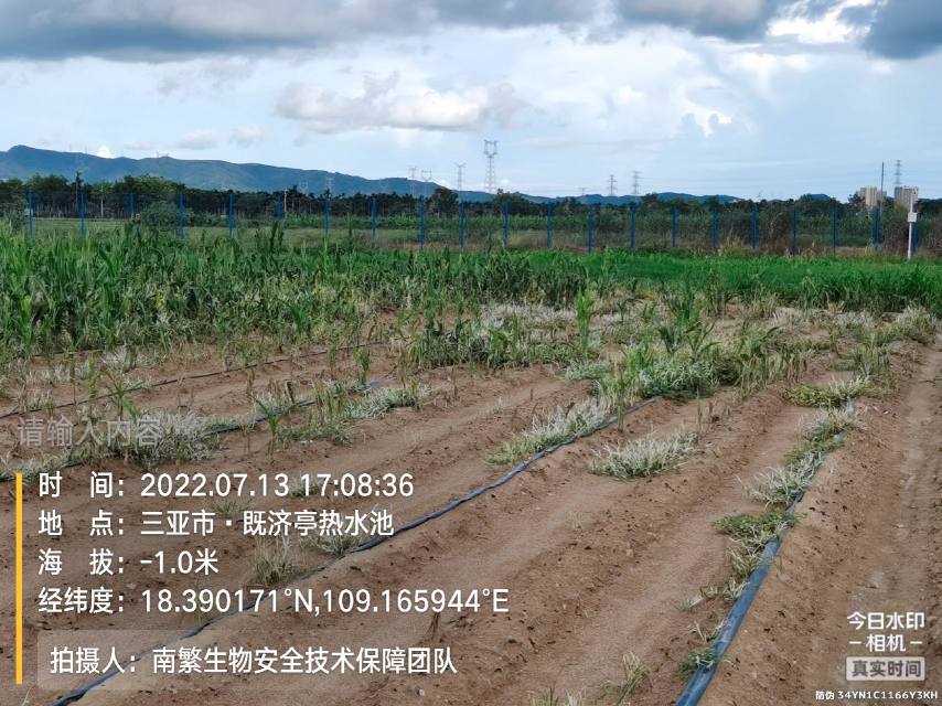 请输入内容…