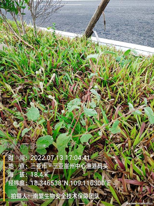 请输入内容…