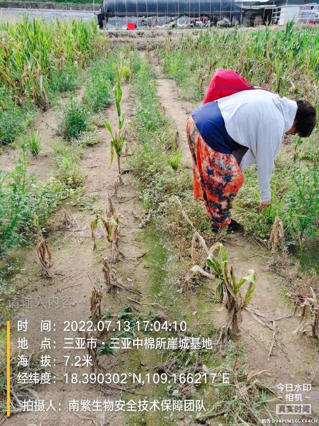 请输入内容…