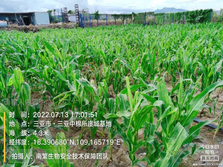 请输入内容…