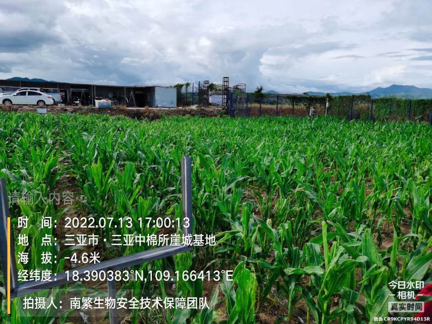 请输入内容…