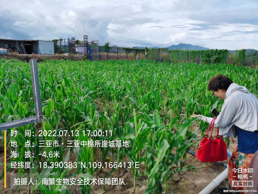 请输入内容…