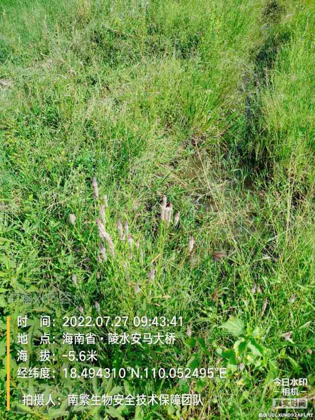 请输入内容…