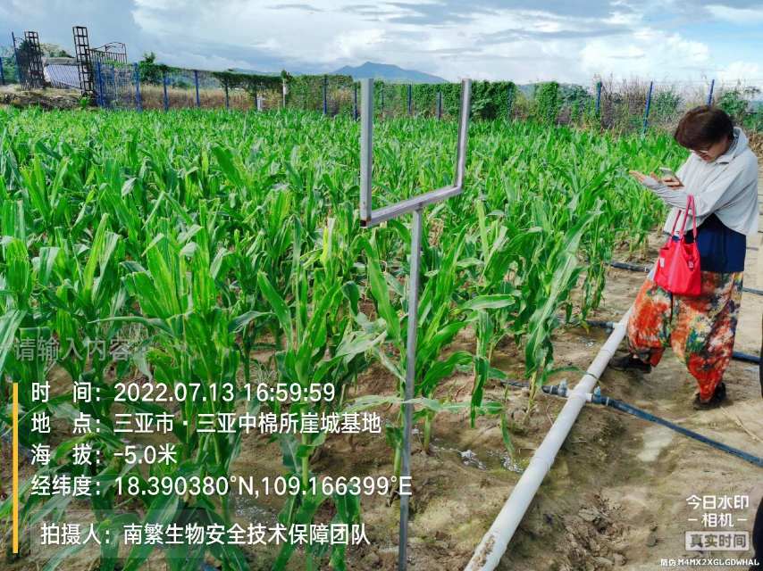 请输入内容…