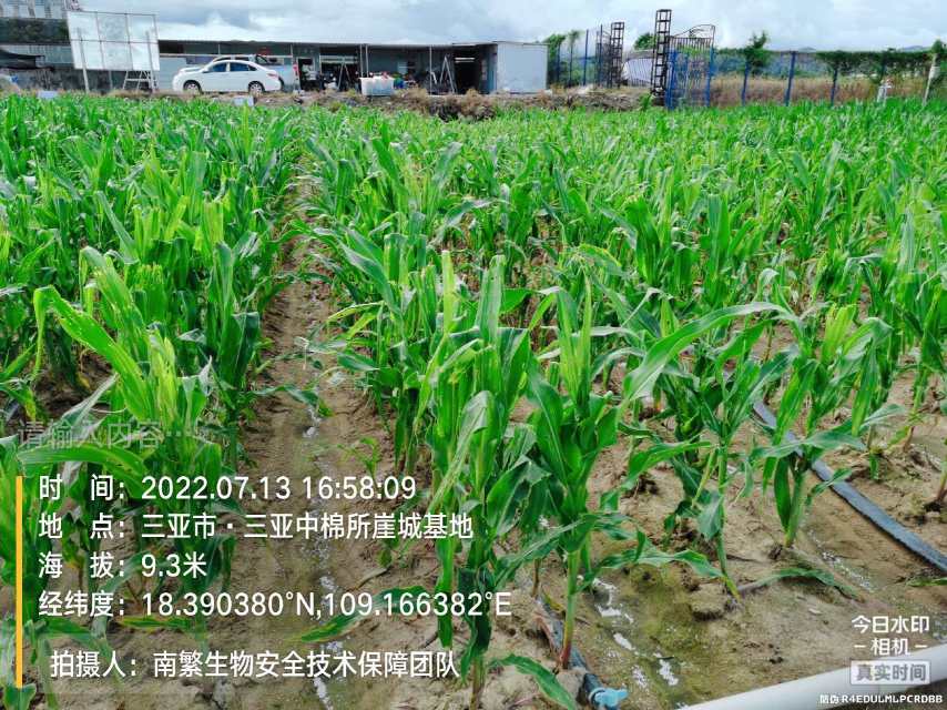 请输入内容…