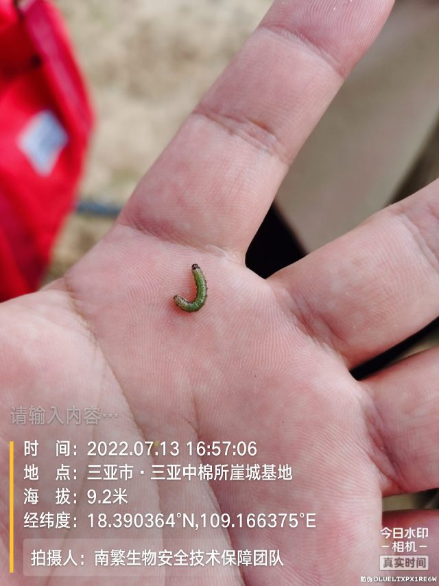 请输入内容…