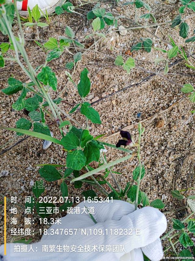 请输入内容…