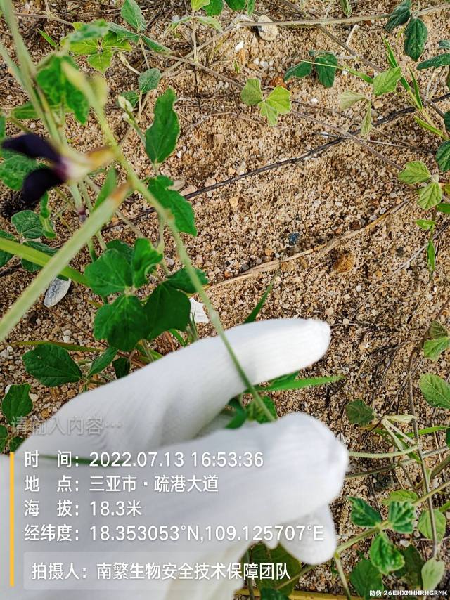请输入内容…