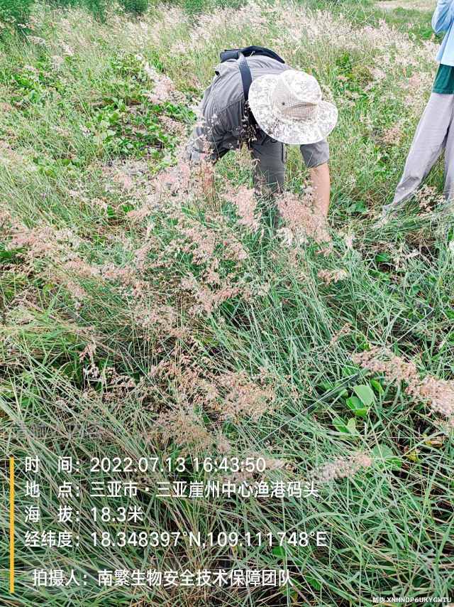 请输入内容…