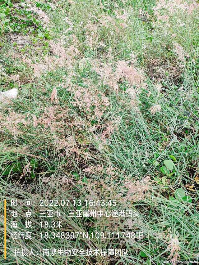 请输入内容…