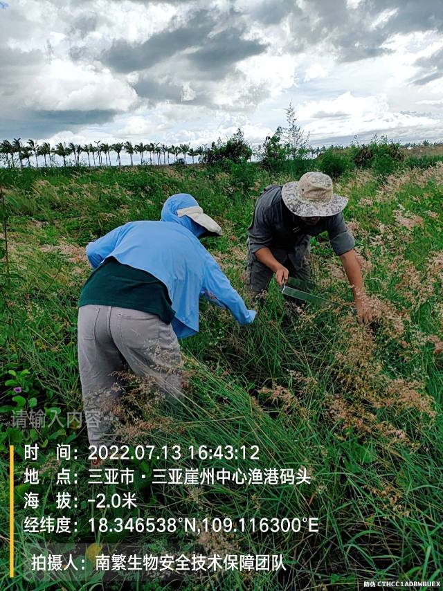 请输入内容…