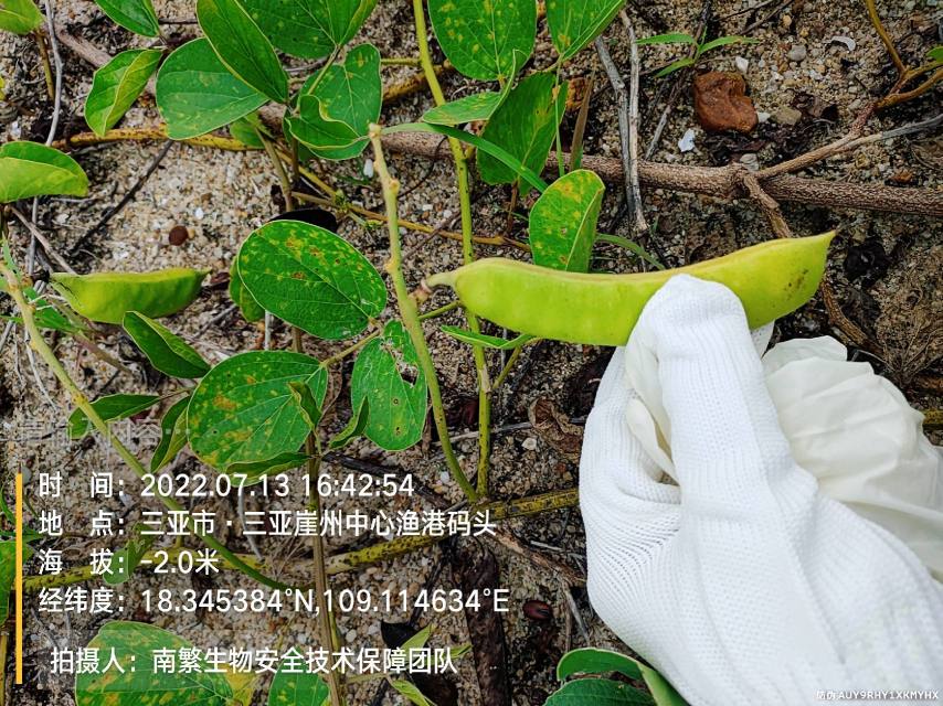请输入内容…