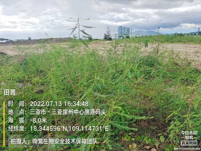 田菁