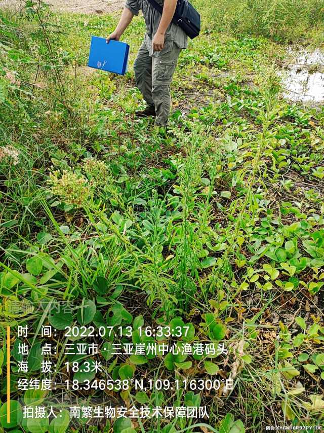请输入内容…